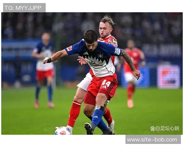 武什科维奇父亲透露儿子将在汉堡待至明年6月后再谈热刺未来