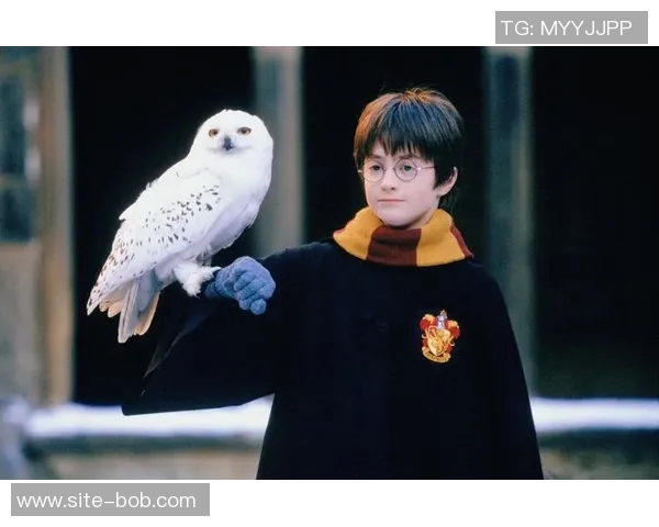 小波特回忆与女孩聊天的甜蜜时光却因媒体关注不得不放弃